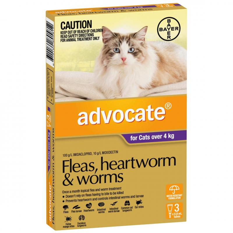 Advocate – Kittens/Cats – Flea & Worm Control – 6 Tubes - Pet Shoppers